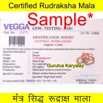 6 MM 5 Mukhi Rudraksha Mala Lab Certified